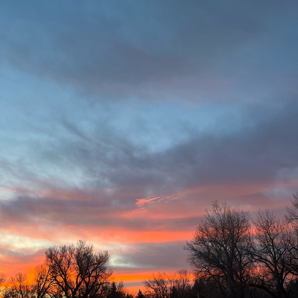 Meet your Posher, Naevi - Picture 1 of 1